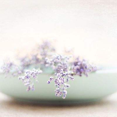 博盈娱乐下载手机版